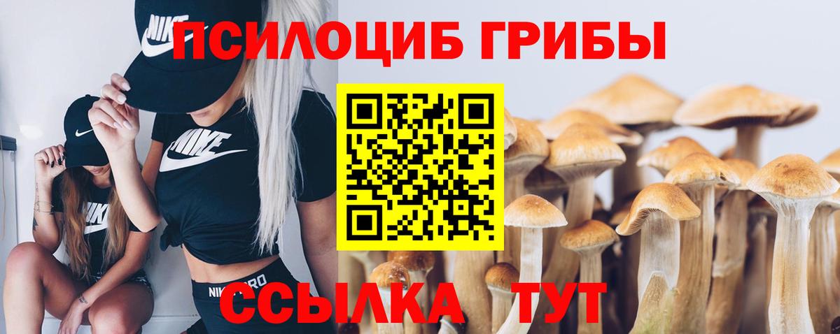Псилоцибиновые грибы прущие грибы  Псилоцибиновые грибы мицелий  Можга  Вход с VPN 